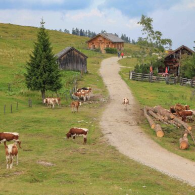 Postalm ©Jürgen Reichenpfader