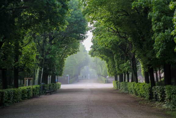 Vienna - Schönbrunn © Jürgen Reichenpfader