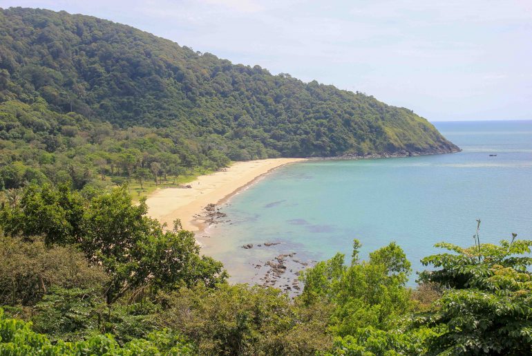Bamboo Bay