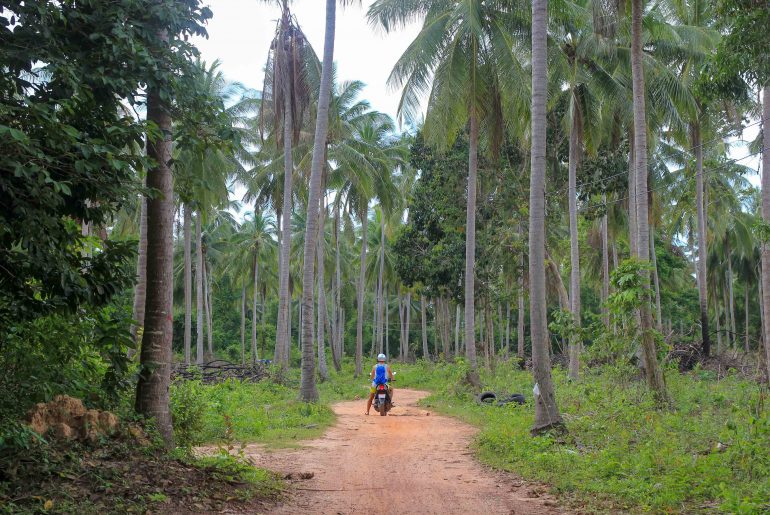 Koh Jum, Rollerfahren, Roller