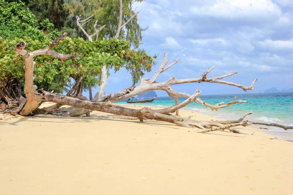 Koh Kradan, Thailande