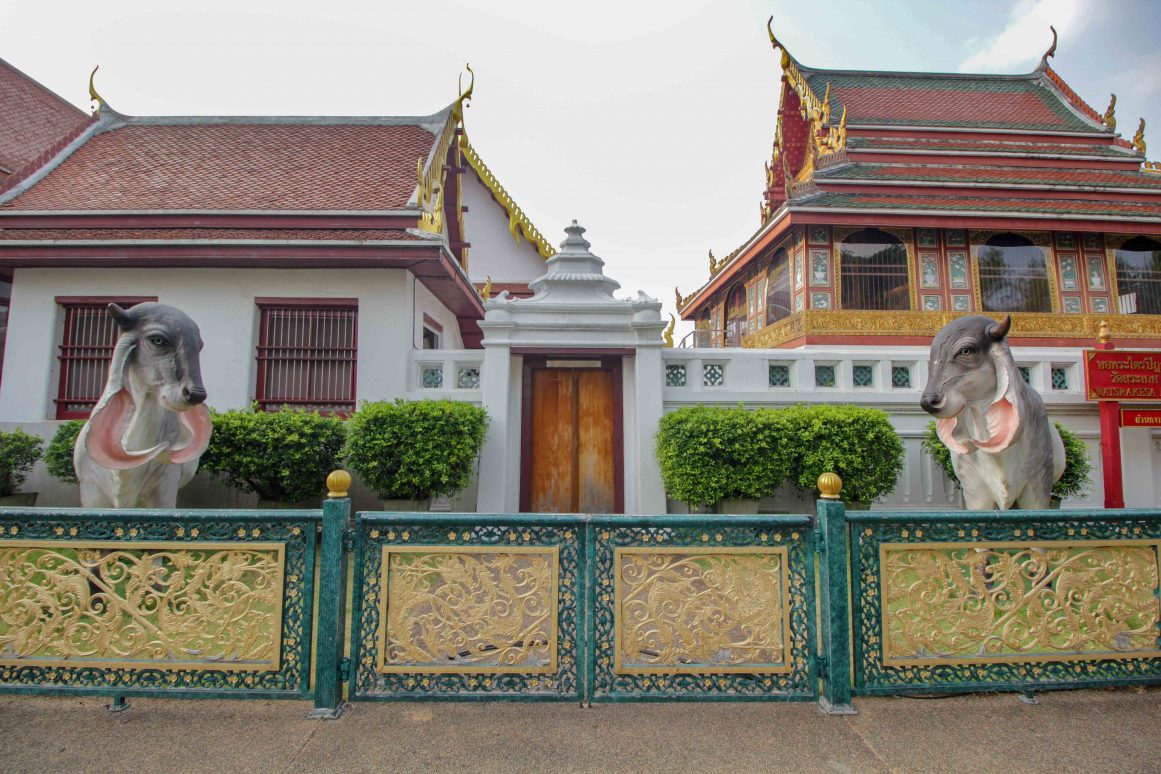 Wat Saket Tempel - Bangkok ©Jürgen Reichenpfader