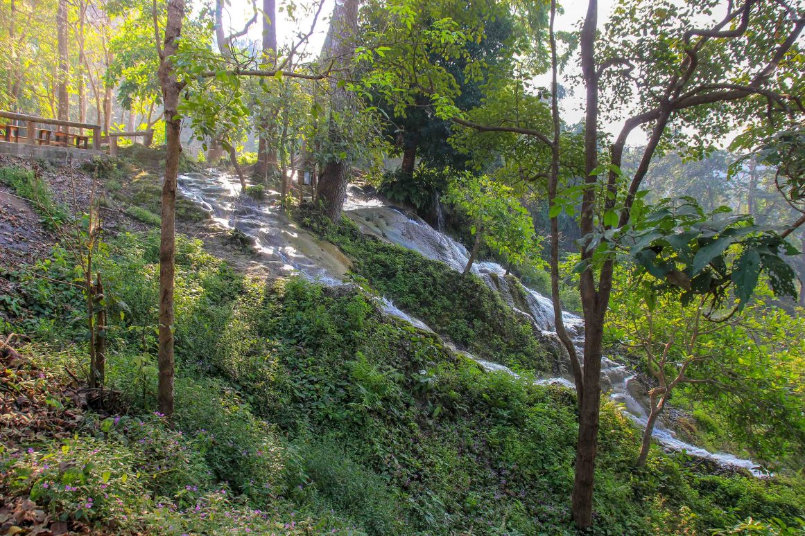 Bua Tong Sticky Waterfall Chiang Mai ©Jürgen Reichenpfader