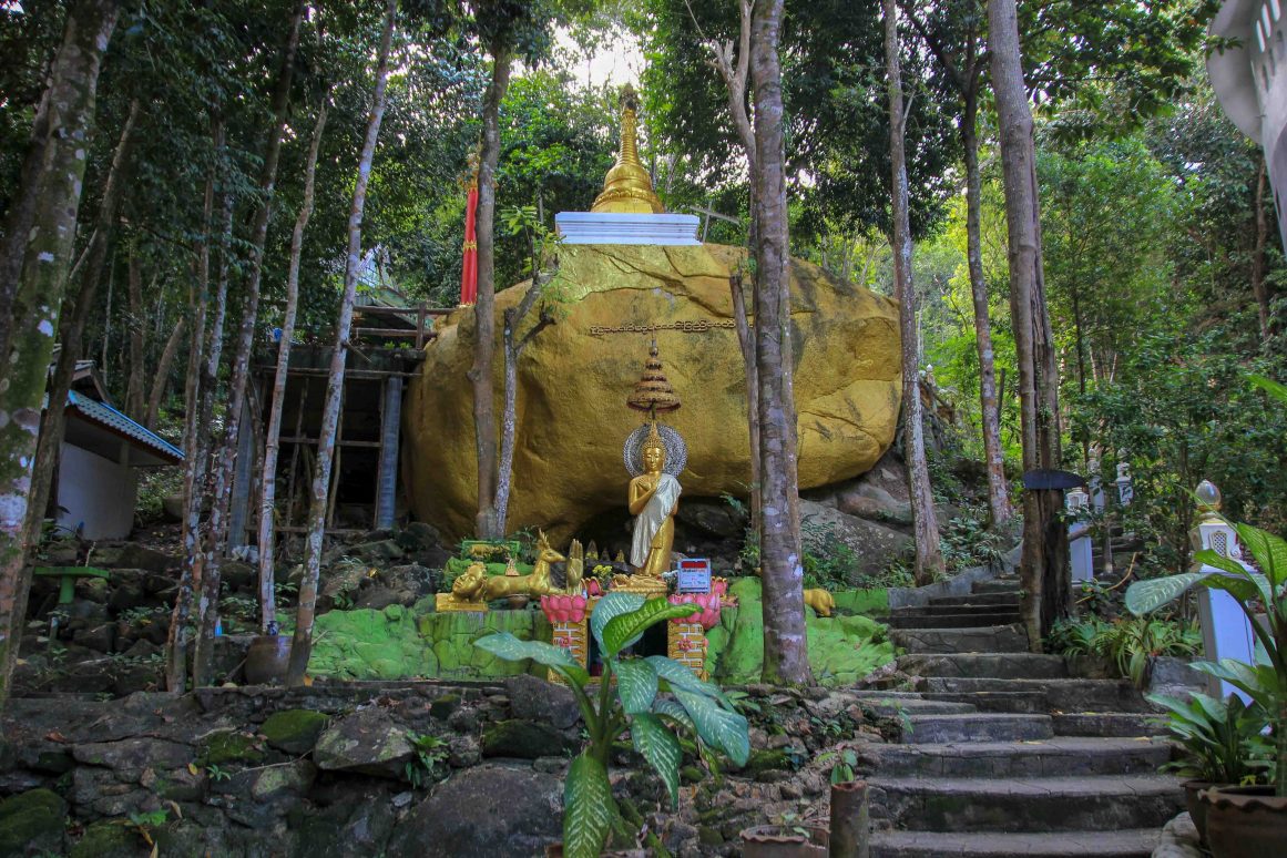 Wat Paa Sang Tham - Koh ©Jürgen Reichenpfader