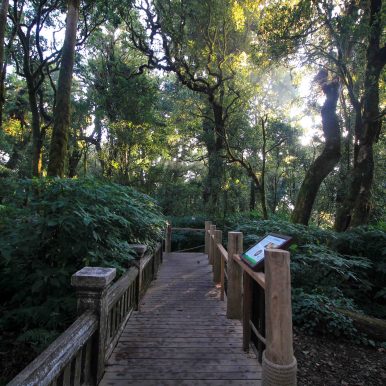 Doi Inthanon - Höchsten Punkt von Thailand ©Jürgen Reichenpfader