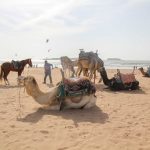 Essaouira, Beach, Morocco