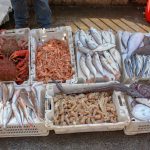 Fish Market, Essaouira, Morocco
