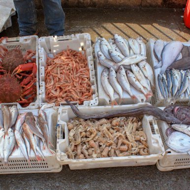 Essaouira ©Jürgen Reichenpfader