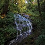 Kaew Mae Pan Nature Trail, Doi Inthanon Nationalpark