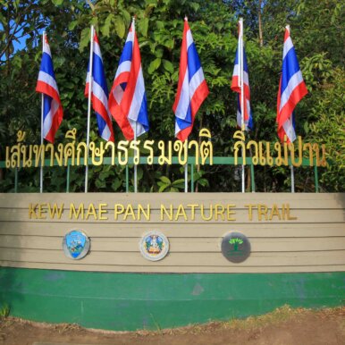 Kaew Mae Pan Nature Trail - Doi Inthanon Nationalpark ©Jürgen Reichenpfader