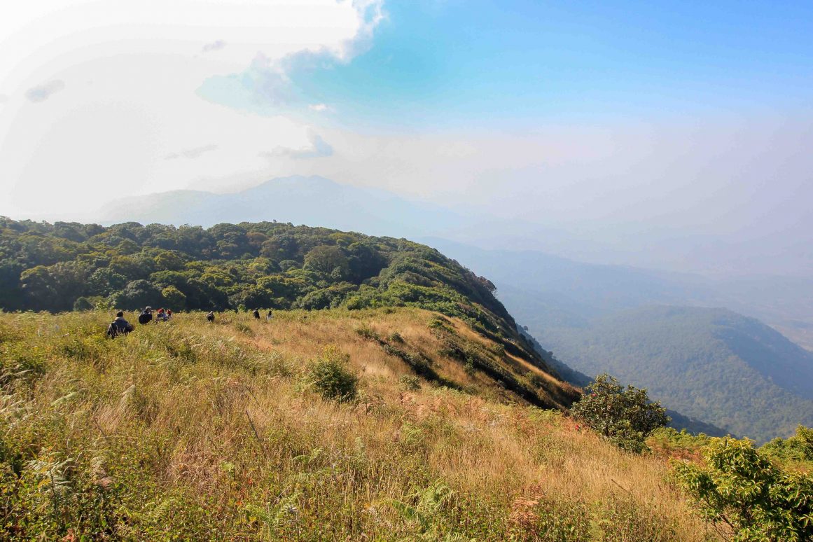 Kaew Mae Pan Nature Trail - Doi Inthanon Nationalpark ©Jürgen Reichenpfader