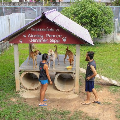 Koh Lanta Animal Welfare ©Jürgen Reichenpfader