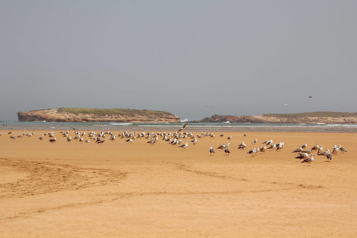 Oualidia Maroc - Le lagon ©Jürgen Reichenpfader