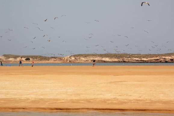 Oualidia, Maroc ©Jürgen Reichenpfader