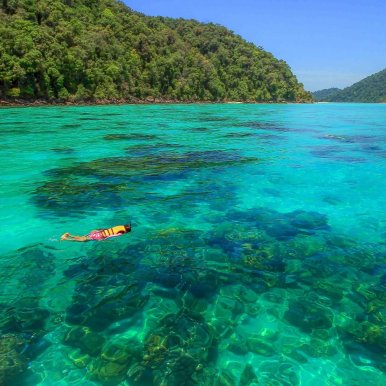 Surin Thailand ©D.Somsup