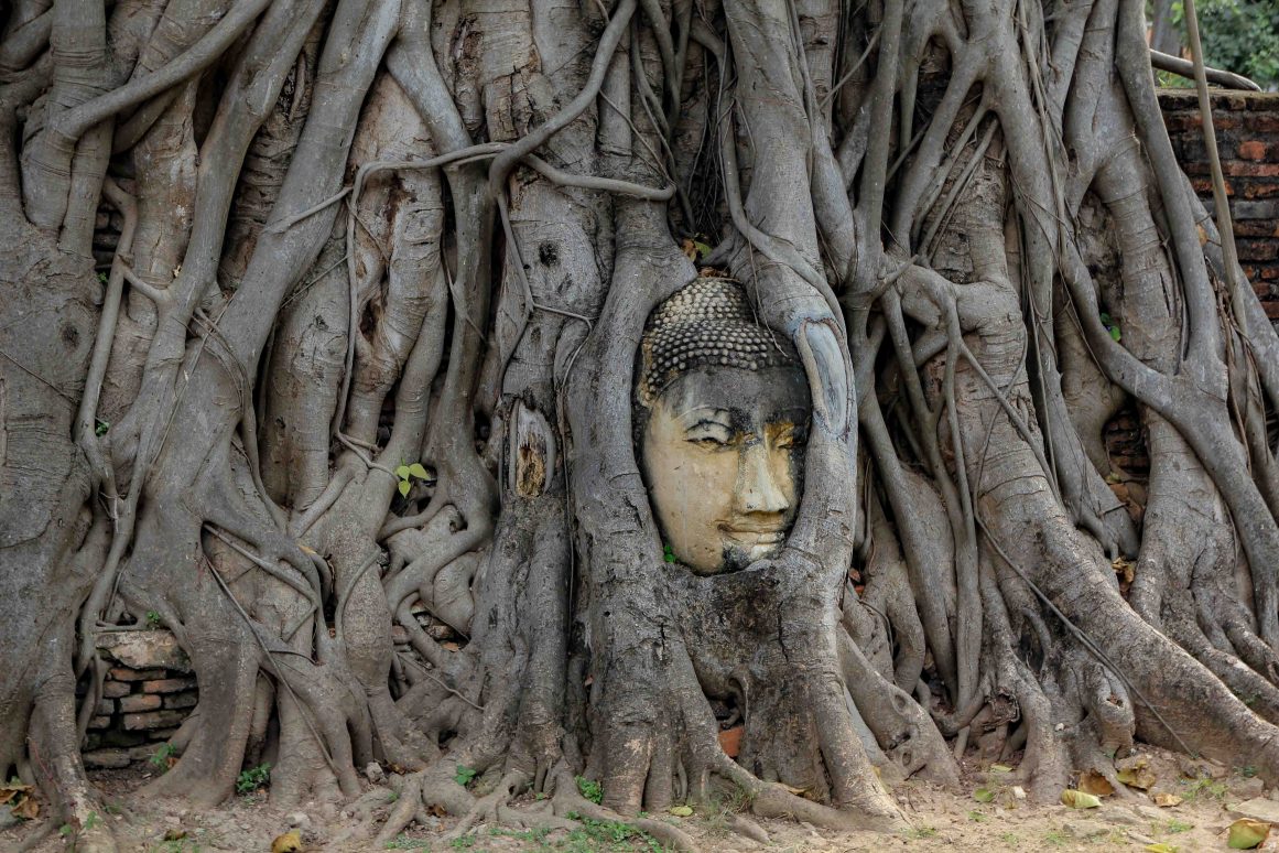 Wat Mahathat - Ayutthaya ©Jürgen Reichenpfader