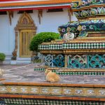 Wat Pho, Temple of the Reclining Buddha, Bangkok