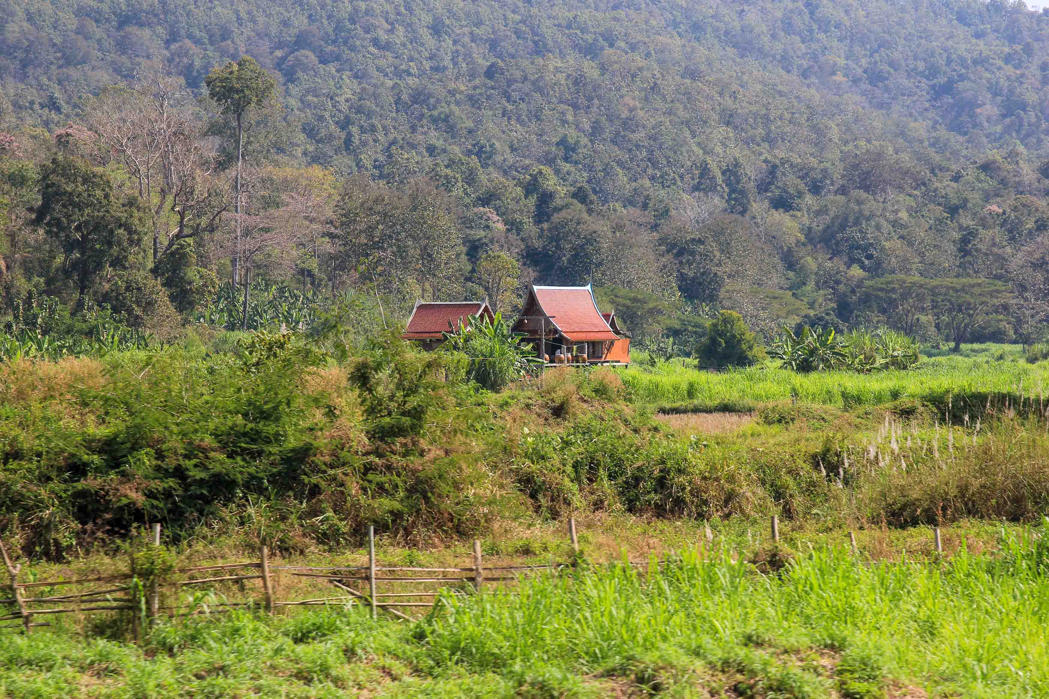 Mit dem Zug von Bangkok nach Chiang Mai PlacesofJuma