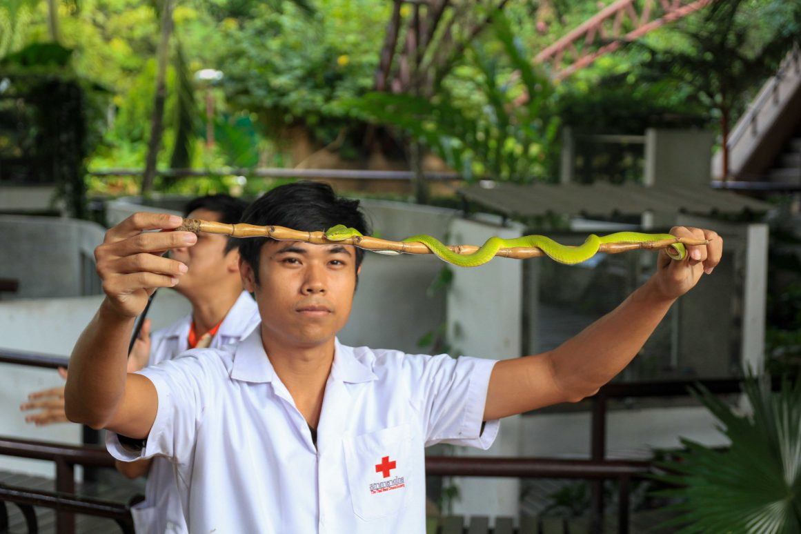 Snake Farm Bangkok ©Jürgen Reichenpfader