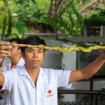 Snake Farm, Bangkok, Thailand