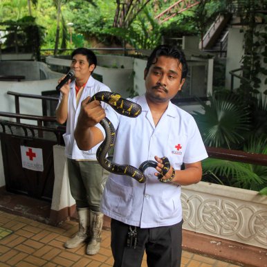 Snake Farm - Bangkok ©Jürgen Reichenpfader