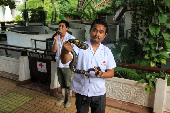 Snake Farm Bangkok ©Jürgen Reichenpfader
