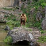 Zoo Salzburg, Austria