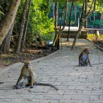 Khao Khanab Nam Cave, Krabi Town, Thailand