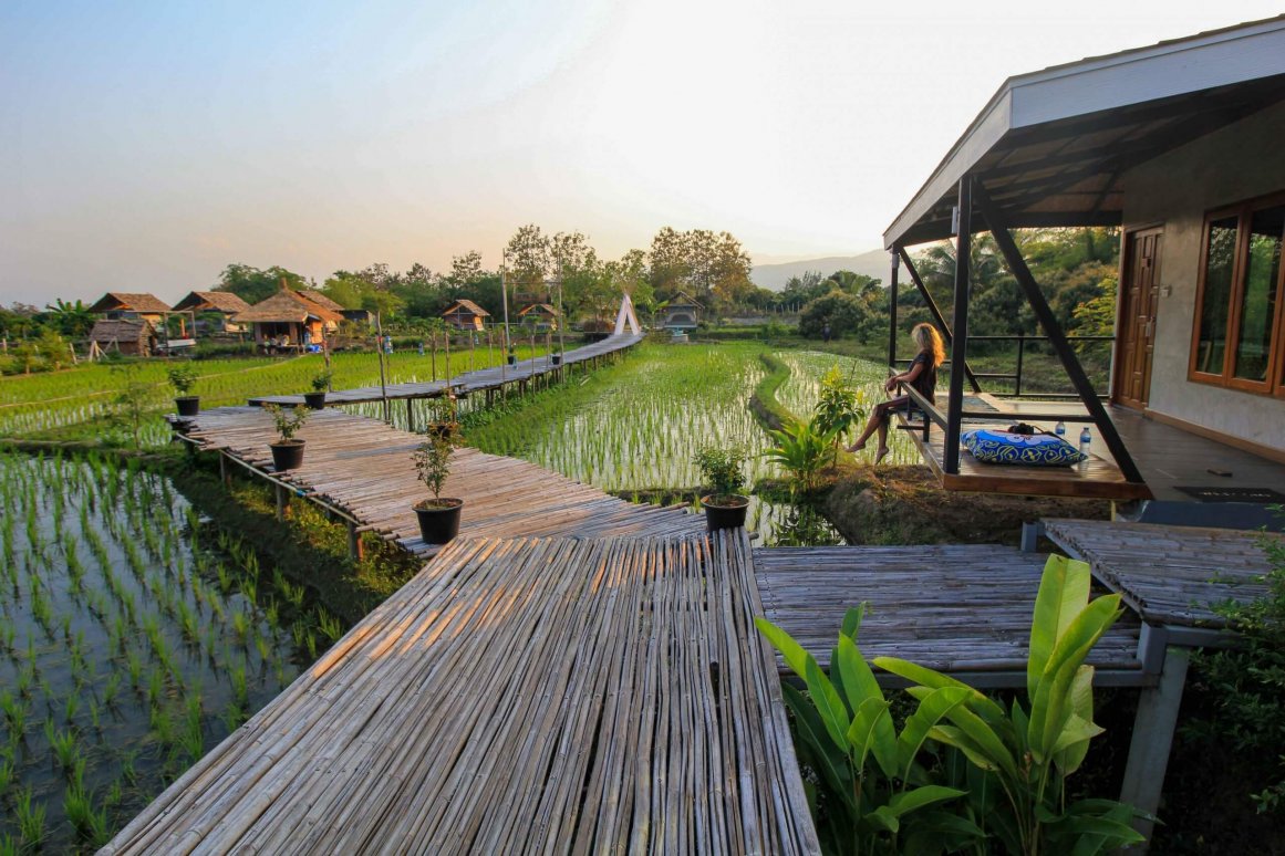 Reisfelder in Chiang Mai ©Jürgen Reichenpfader