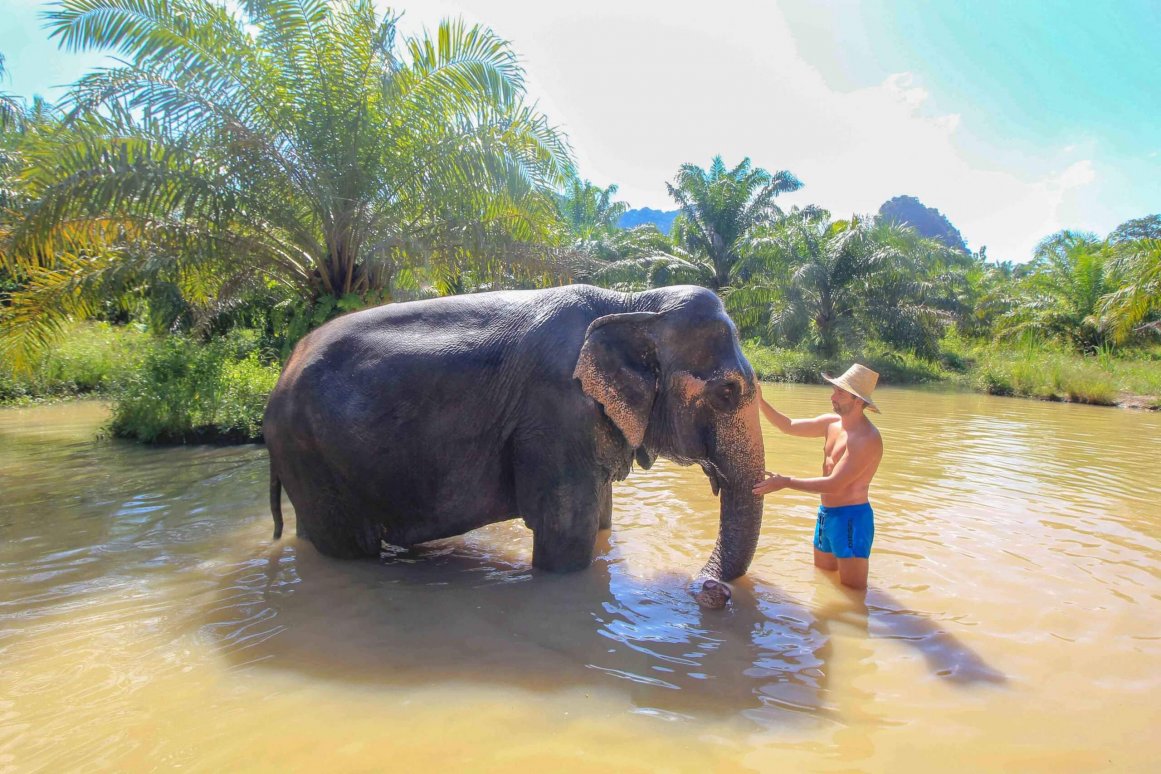 Elephant Sanctury Chiang Mai ©Jürgen Reichenpfader
