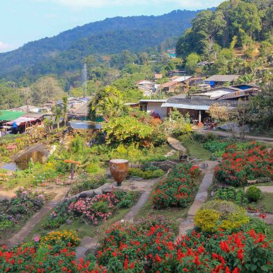 Hmong Doi Pui Village - Chiang Mai ©Jürgen Reichenpfader