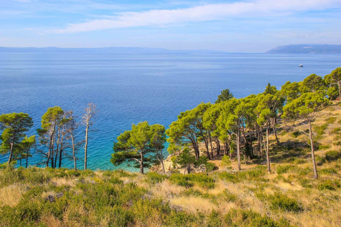 Makarska Riviera - Naturpark „Forrest Park Osejava“ @Jürgen Reichenpfader