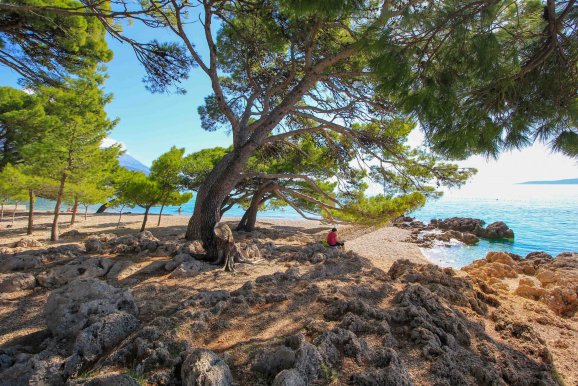 Strand Punta Rata - Brela @Jürgen Reichenpfader