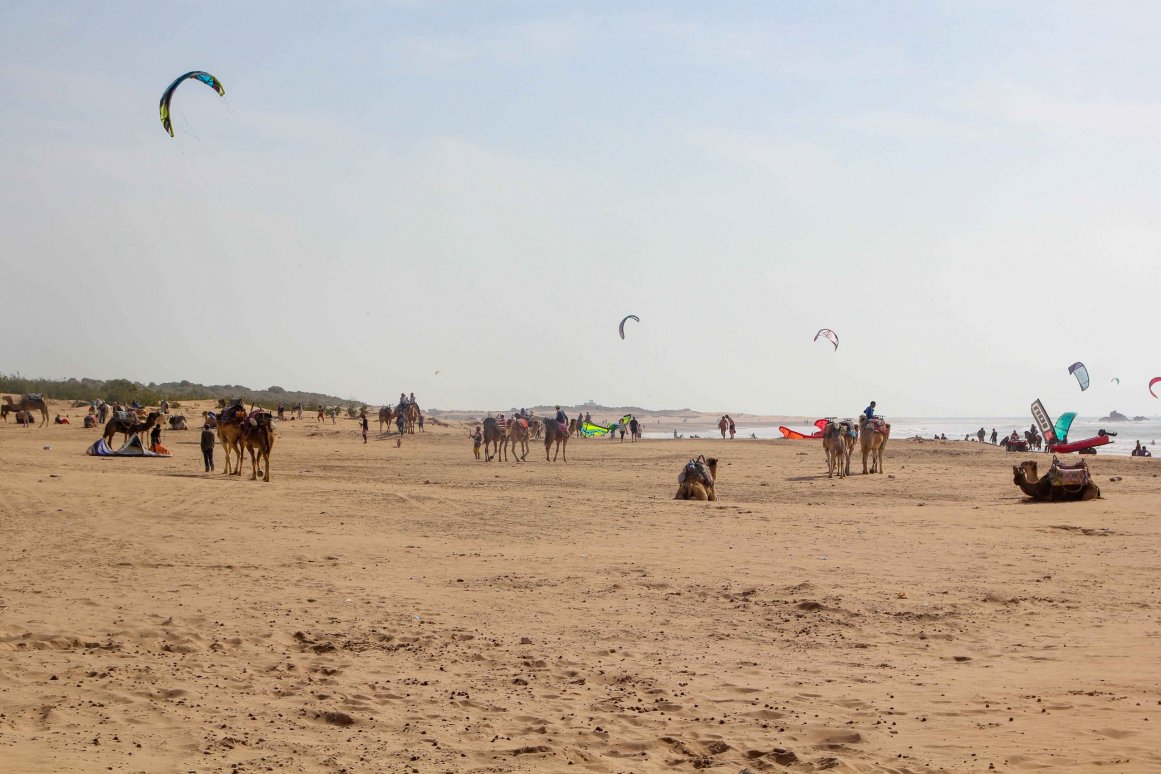 Plage Essaouira Beach, Maroc