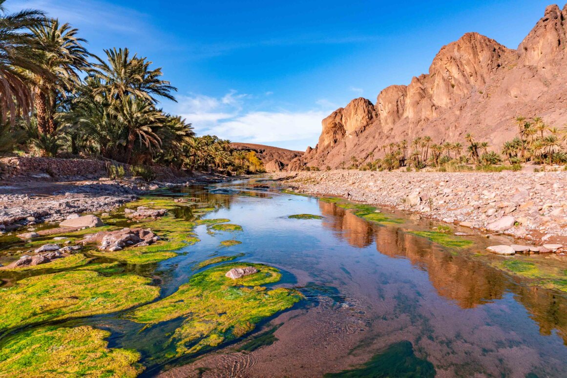 Oasis de Fint - Maroc, Ouarzazate ©Oleksandr