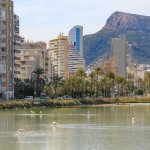 Flamants Roses, Calpe, Alicante, Costa Blanca, Espagne