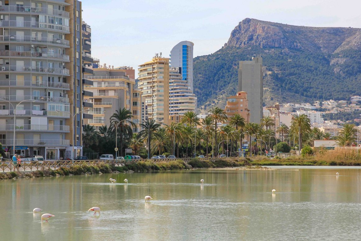 Calpe, Spanien - Flamingos im Salzsee @Jürgen Reichenpfader
