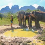 Elefanten Sanctuary, Thailand, Sehenswürdigkeit, Krabi