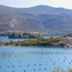 Mali Ston, Austernzucht, Kroatien