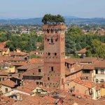 Torre Guinigi, Lucques, Italie, Toscane