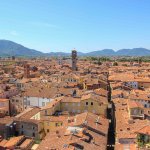 Torre Guinigi, Lucques, Italie, Toscane