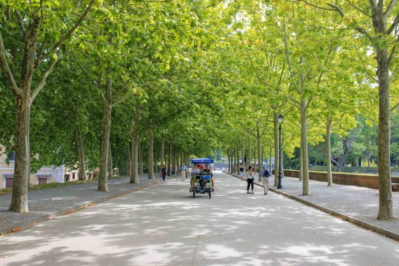 Les murs de Lucques ©Jürgen Reichenpfader