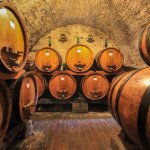 Cantina Contucci, Toscane, Italie