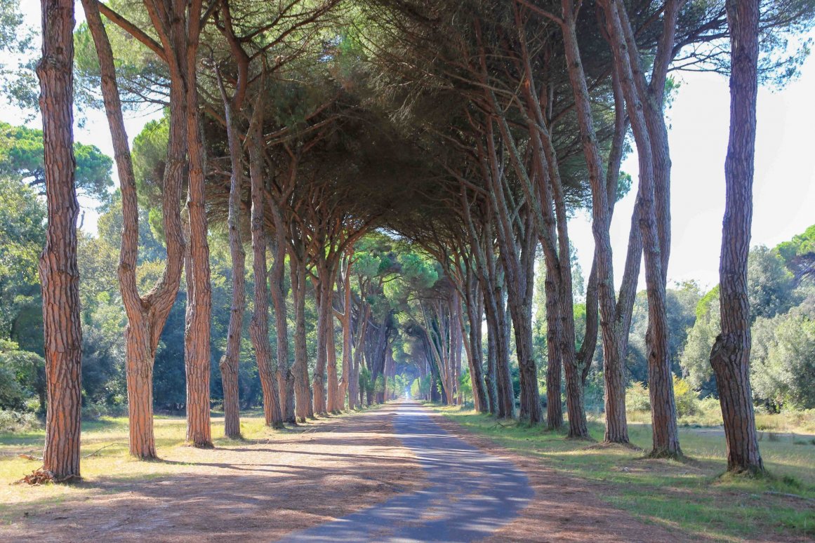 Le parc naturel Migliarino San Rossore - Pise ©Jürgen Reichenpfader