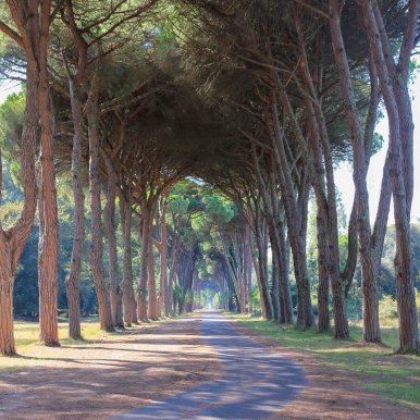 Le parc naturel Migliarino San Rossore - Pise ©Jürgen Reichenpfader