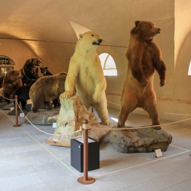 Le musée d'histoire naturelle - Pise - Italie ©Jürgen Reichenpfader