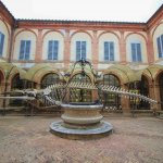 Musée d'histoire naturelle, Sienne