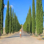 Val d'Orcia, Toscane, Avenue des cyprès Poggio Covili