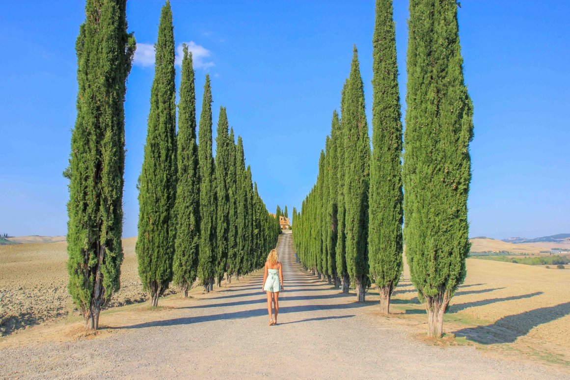 Val d'Orcia, Toscane - Avenue des cyprès Poggio Covili ©Jürgen Reichenpfader