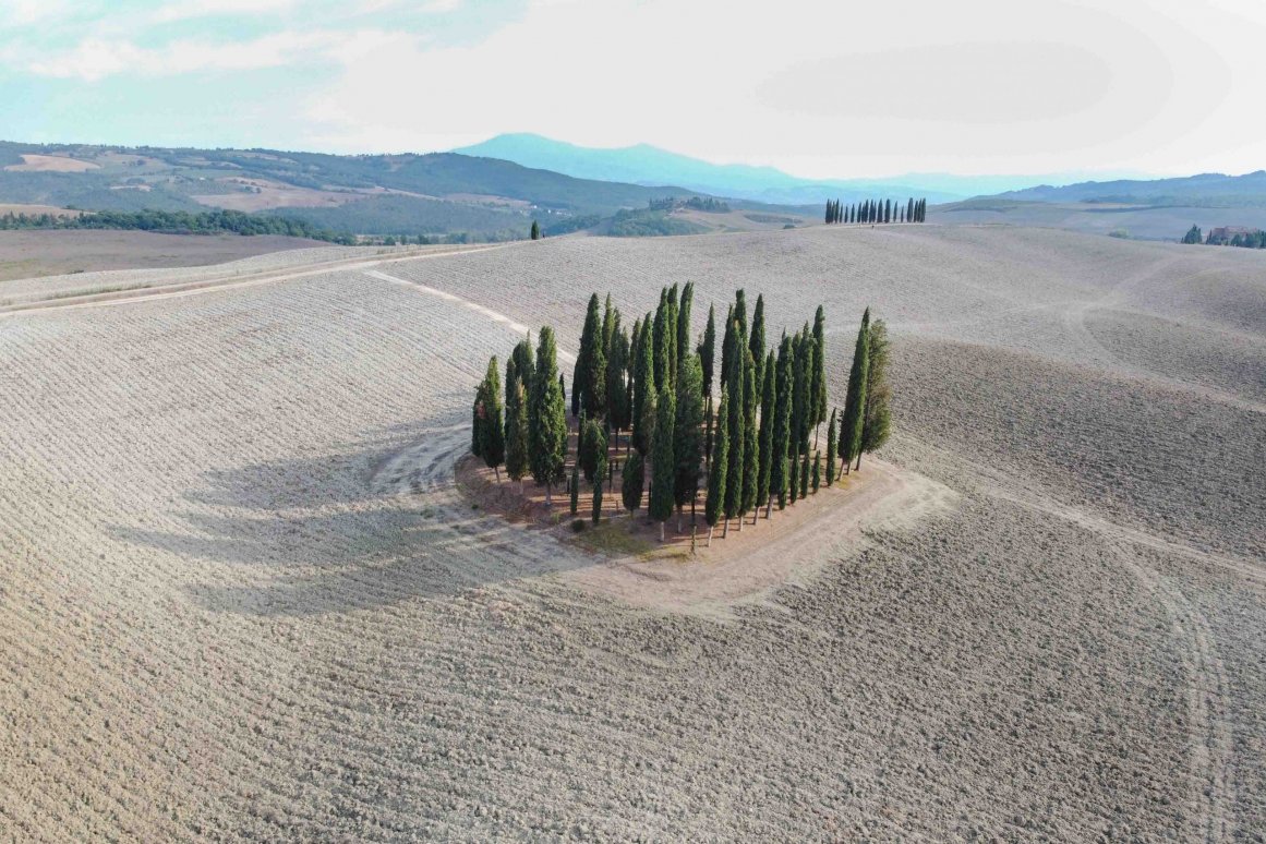 Cyprès de San Quirico d'Orcia - Val d'Orcia @Jürgen Reichenpfader
